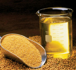 soybean-meal